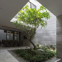 D House / ARO Studio - Houses, Garden, Facade