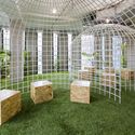 Office Design in Ho Chi Minh City  / 07BEACH + Studio Happ - Chair, Garden