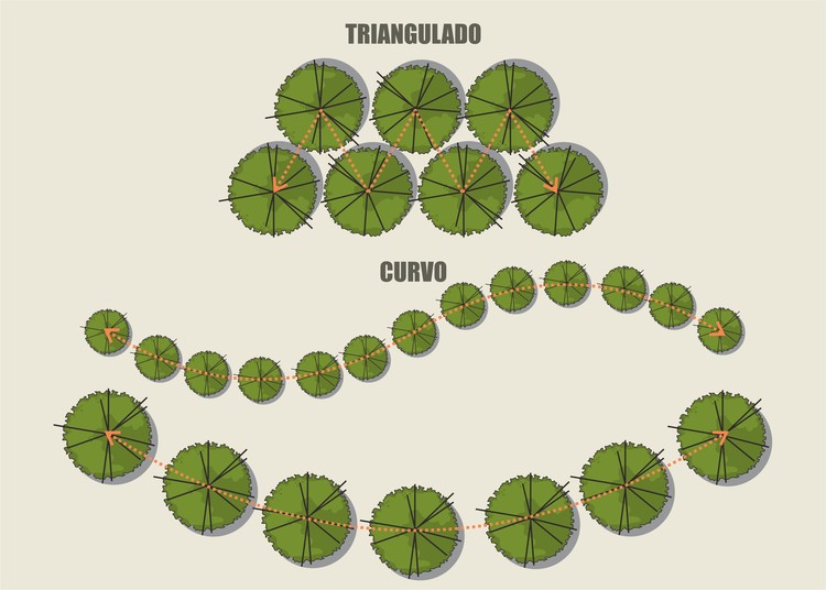Alinhamento vegetal triangulado e curvo. Image © Matheus Pereira