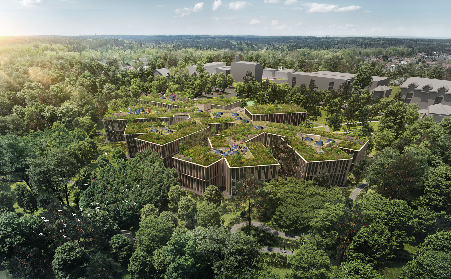 Gallery of Landscape and Building Merge in New Czech Forestry