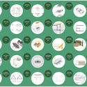 INFONAVIT presents the exhibition: 'From Territory to Inhabitant', 84 proposals for assisted self-production - Image 3 of 20