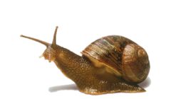 Chama para 5 Edição "ARQUITETURA (É) ÉTICA?" da PIXO - revista de arquitetura, cidade e contemporaneidade