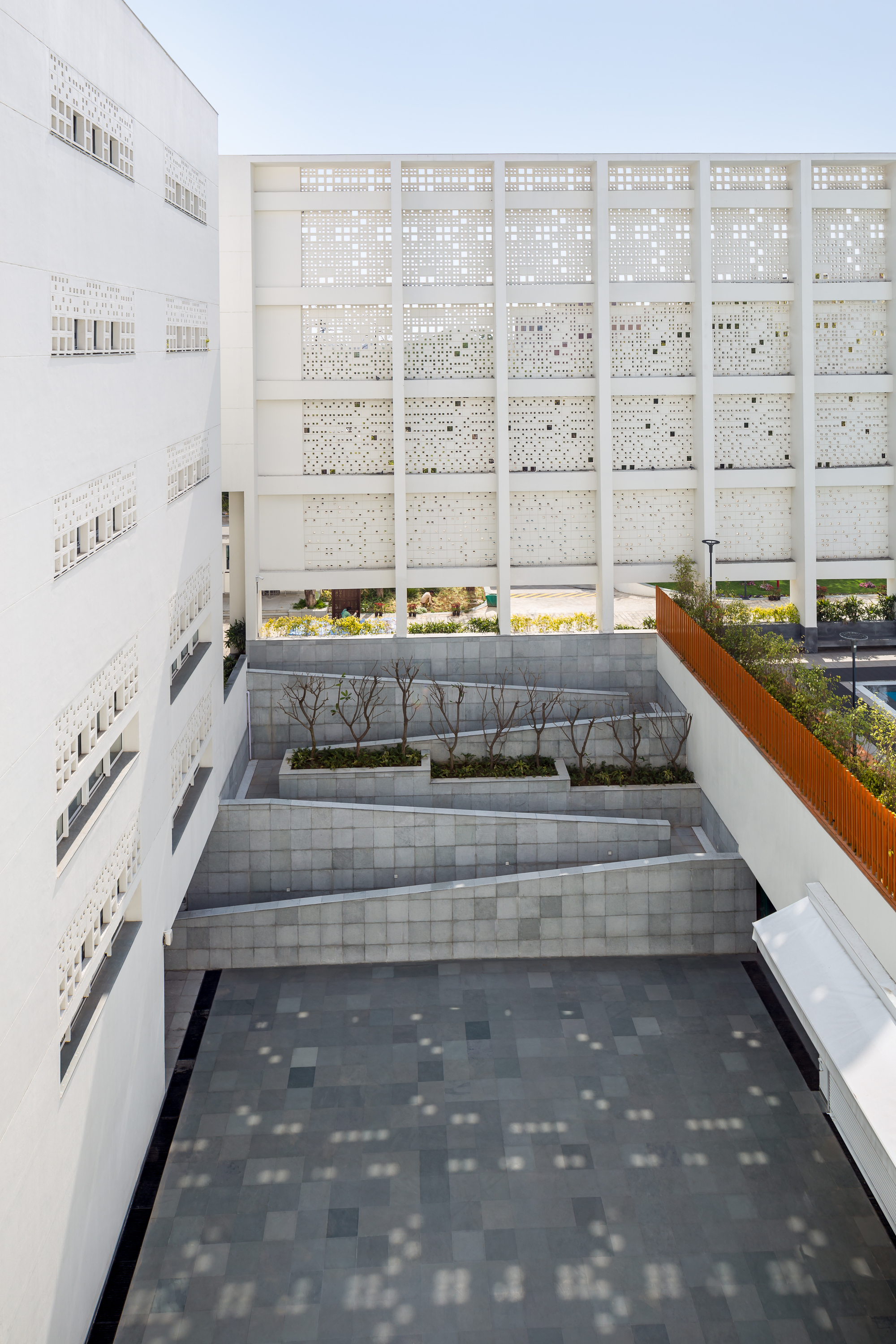 Gallery Of The British School Morphogenesis 14