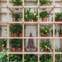 Tropical Forest / Tayone Design Studio - Interior Photography
