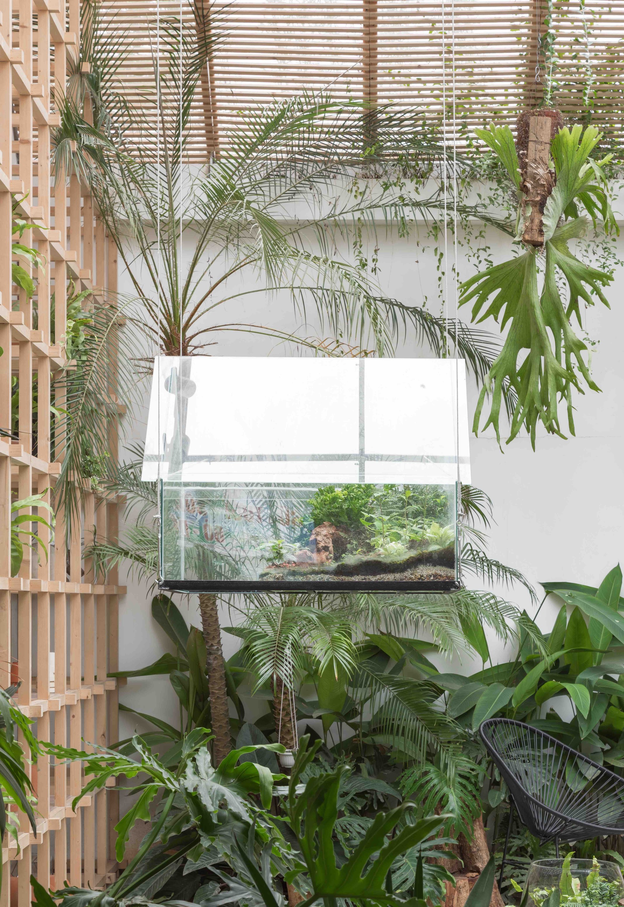 Galeria de Tropical Forest / Tayone Design Studio - 6
