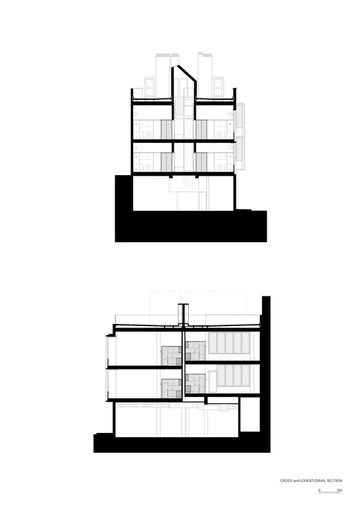 Corte Transversal y Longitudinal