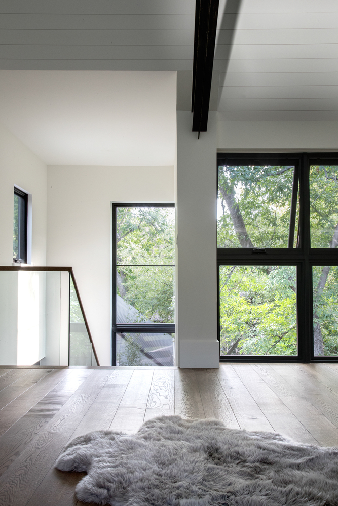 Chickadee / Surround Architecture - Imagem 2 de 20
