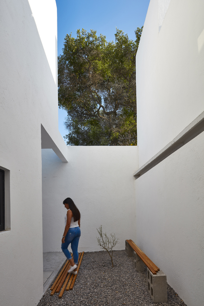 Gallery of MX House / Morales architects 8