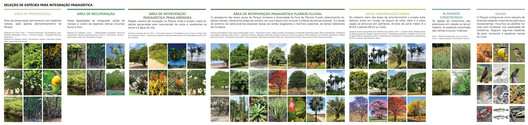 Discover the winning proposal for the Parque do Cocó National Ideas Competition, by Base Urbana and COTA760 Discover the winning proposal for the Parque do Cocó National Ideas Competition, by Base Urbana and COTA760 - Image 13 of 19