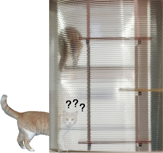 Hogar de mascotas / HDD - Imagen 53 de 55