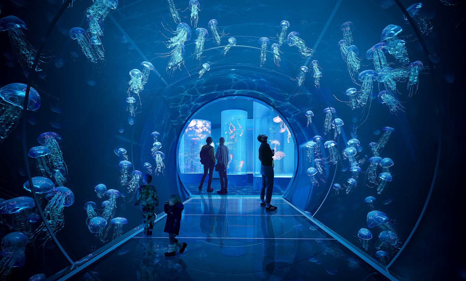 Gallery of 3XN and GERNER GERNER PLUS Reveal Competition Design for