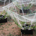 Sky Farm / VRAP - Imagem 3 de 25