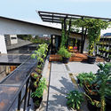 Veranda House / sigit.kusumawijaya - Exterior Photography