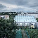 行村3号公共用地 / KDDH - 社区中心