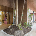 Pórtico Palmeto 大楼 / TACO taller de arquitectura contextual - 办公设施