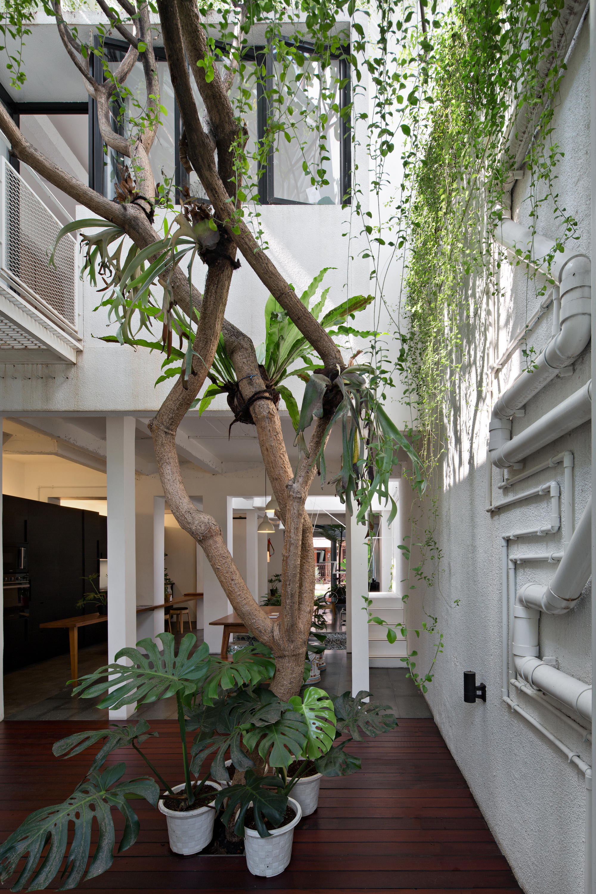 Gallery of Compartment House / Studio SA_e 31