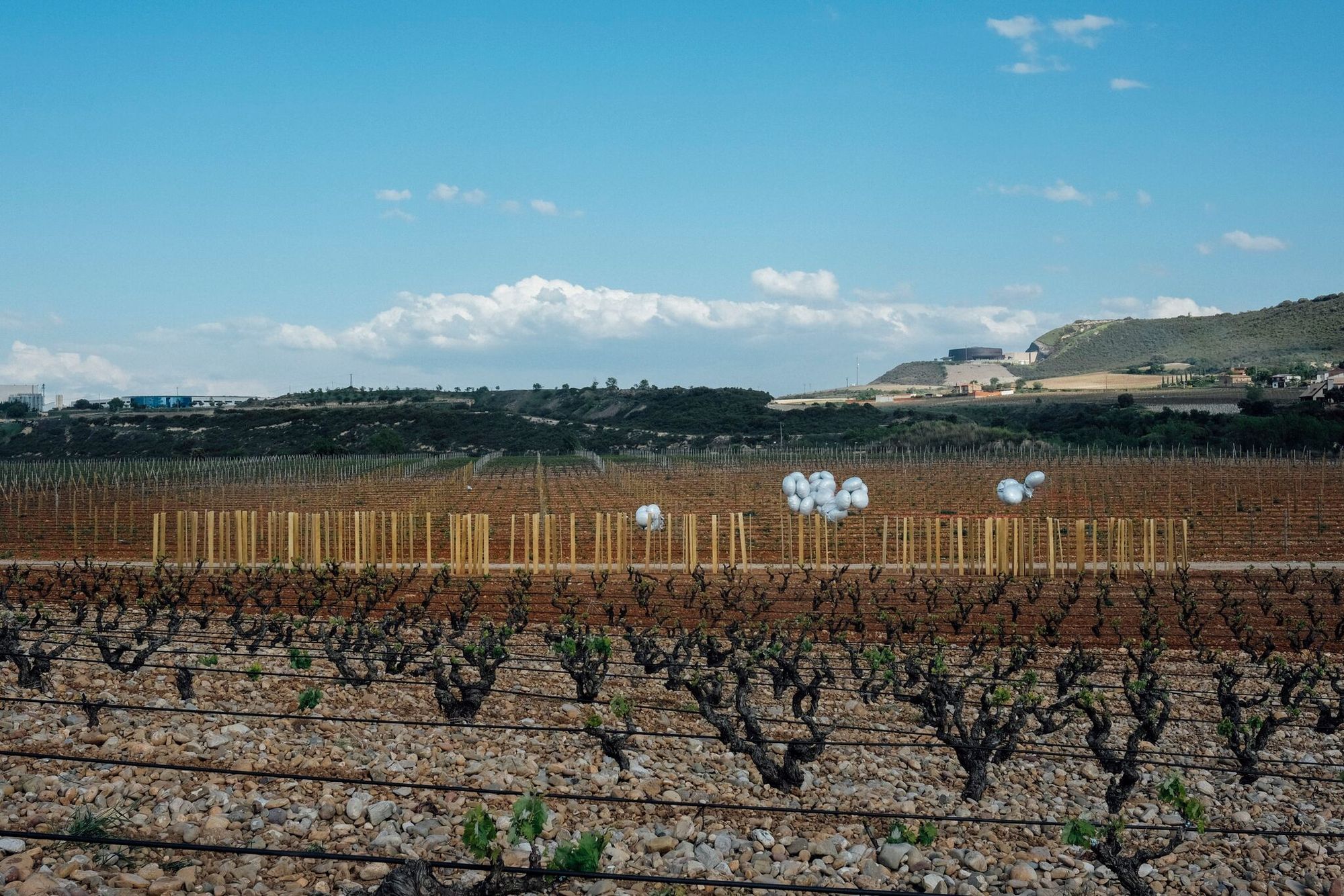 Galería de Entrever / Fernando Cruzado, Julia Díaz, Francisco Javier