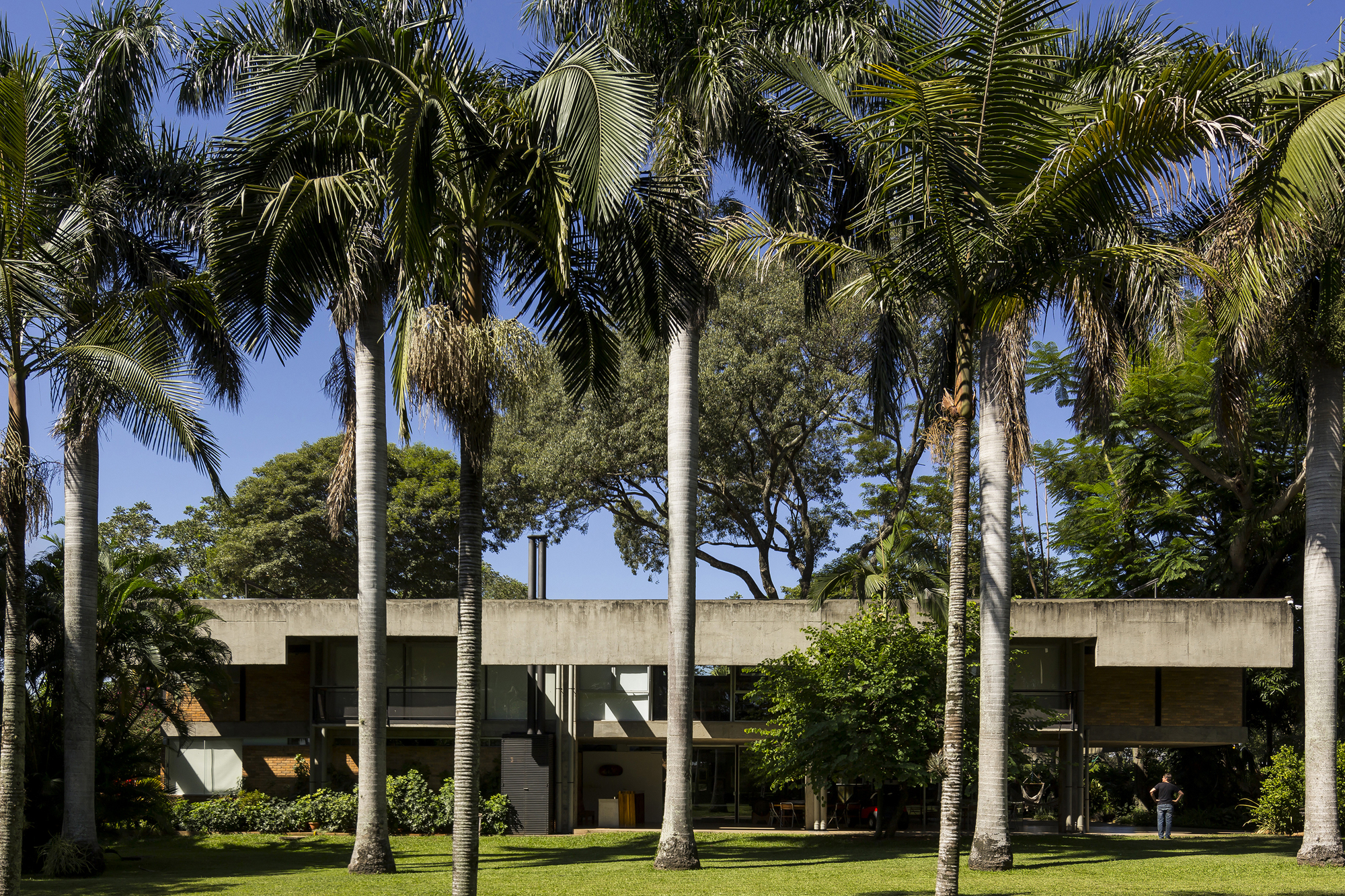 House between Trees / - = + x - | ArchDaily