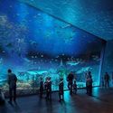 Tatiana Bilbao Estudio will design the largest aquarium in Latin America - Image 4 of 4