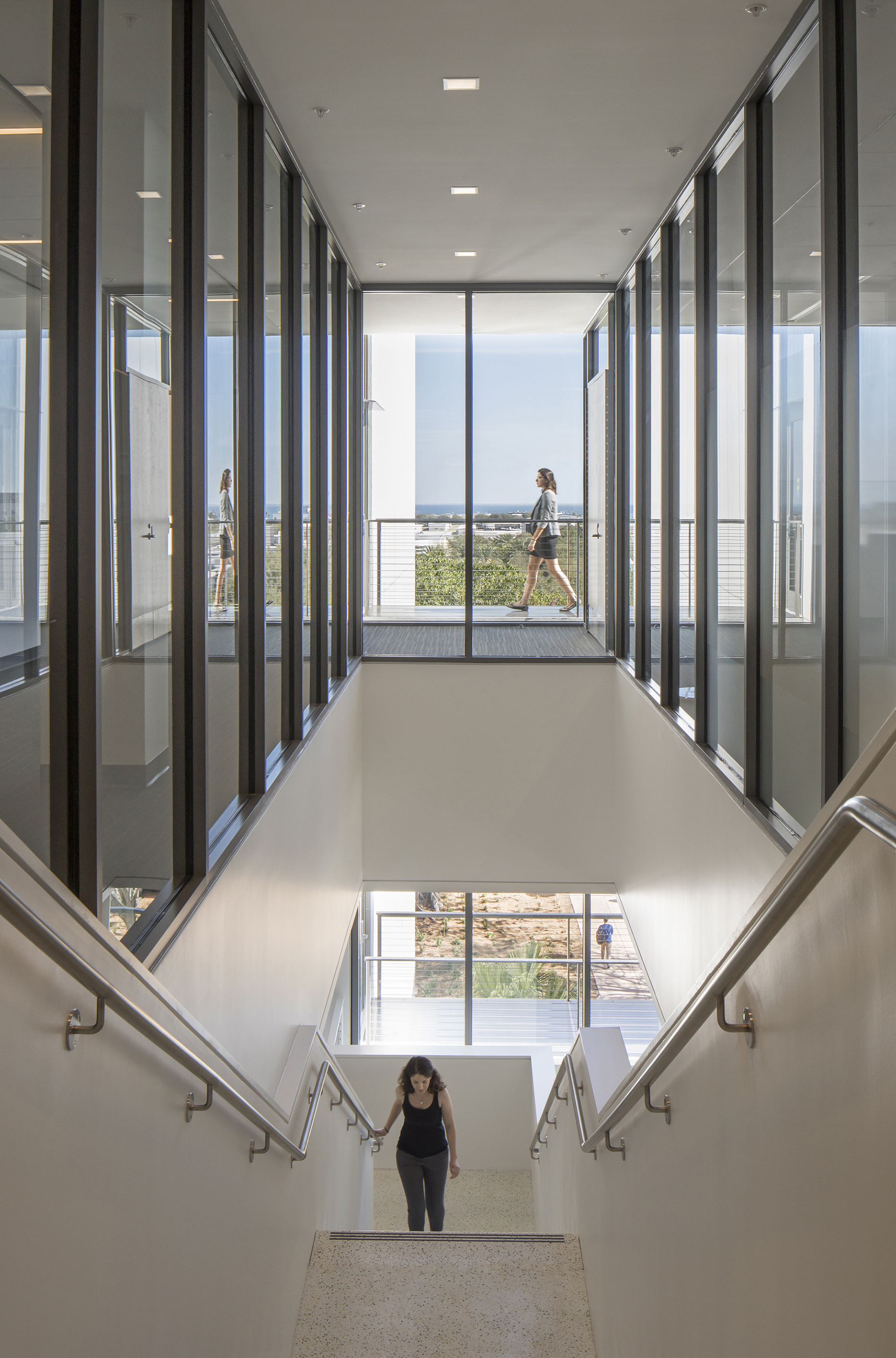Gallery of College of Business, University of South Florida / ikon.5 ...