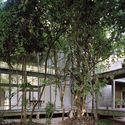 Chiang Mai Residence and Studio / Neil Logan Architect - Windows