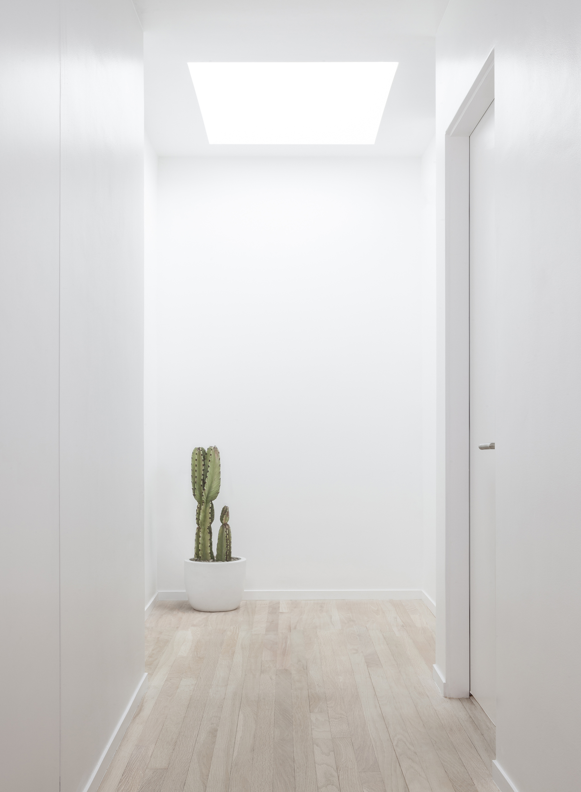 Gallery of Rear Window House / Edward Ogosta Architecture - 10