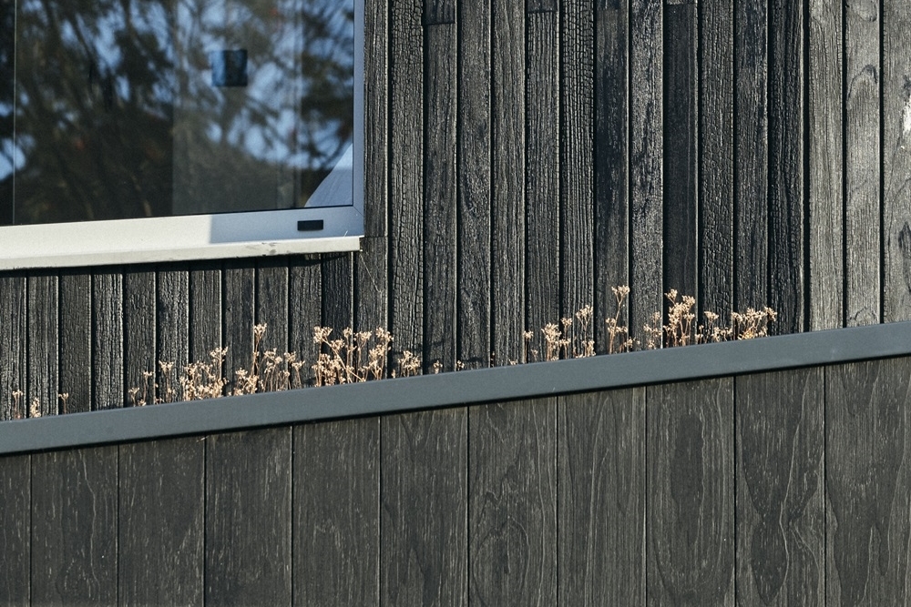 Gallery of Black Ridge House / Neil Dusheiko Architects - 3