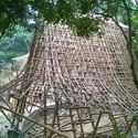 Bamboo Sunyata / akasha+associates architecture - Forest