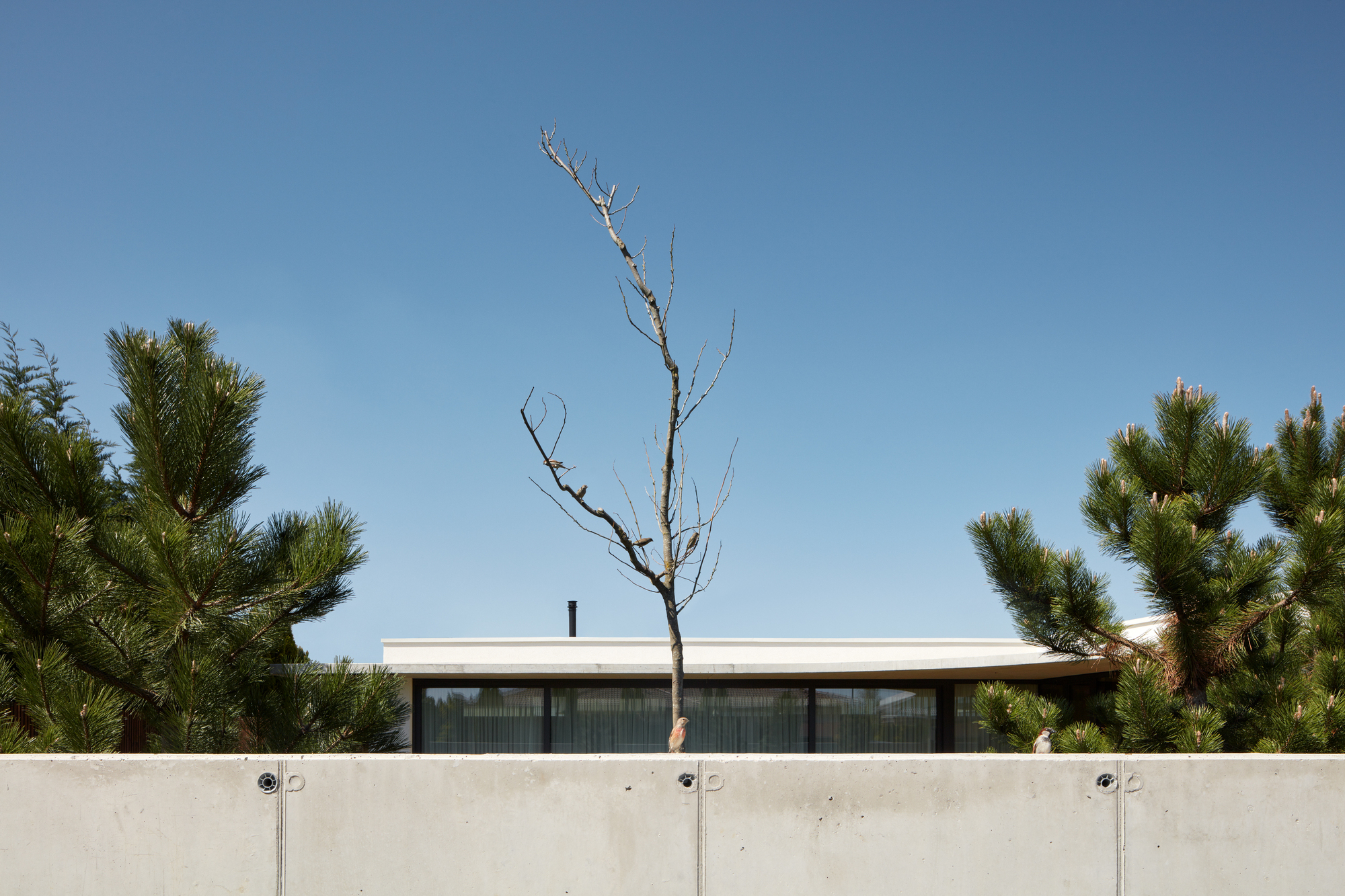 Galería de Casa familiar en Jarovce / Compass Atelier 9