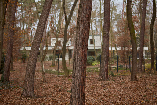 Forest Fairy / Mjölk architekti - Image 20 of 28