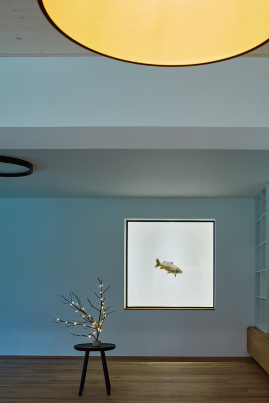 Forest Fairy / Mjölk architekti - Image 21 of 28