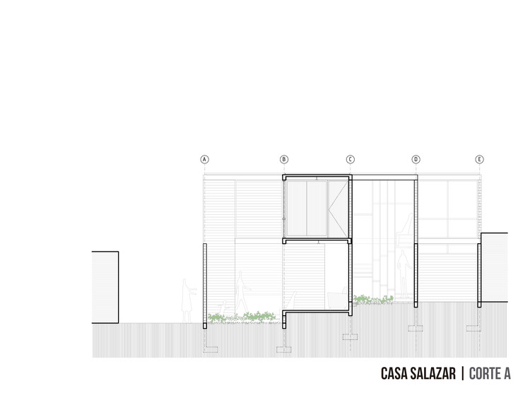 SALAZAR_Corte A. Image Cortesía de MUTUO