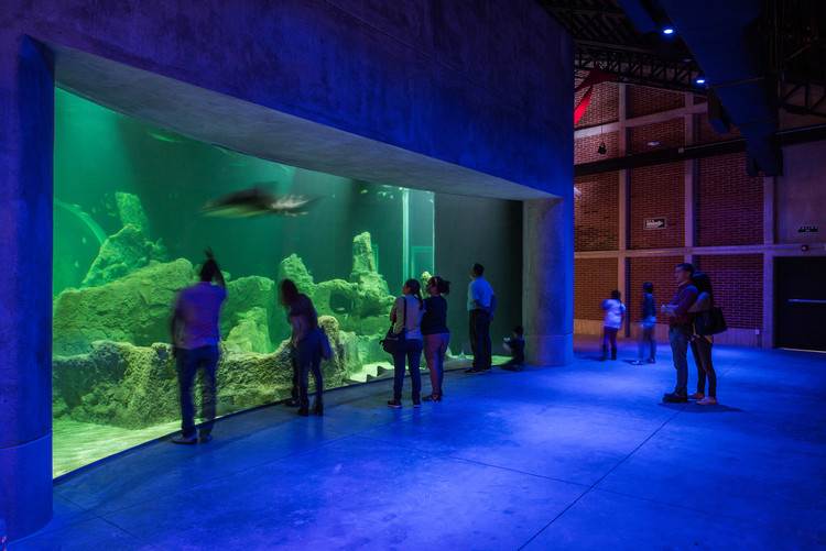 Acuario Michin Guadalajara  / Arroyo Solís Agraz + Cosestudi - Más Imágenes
