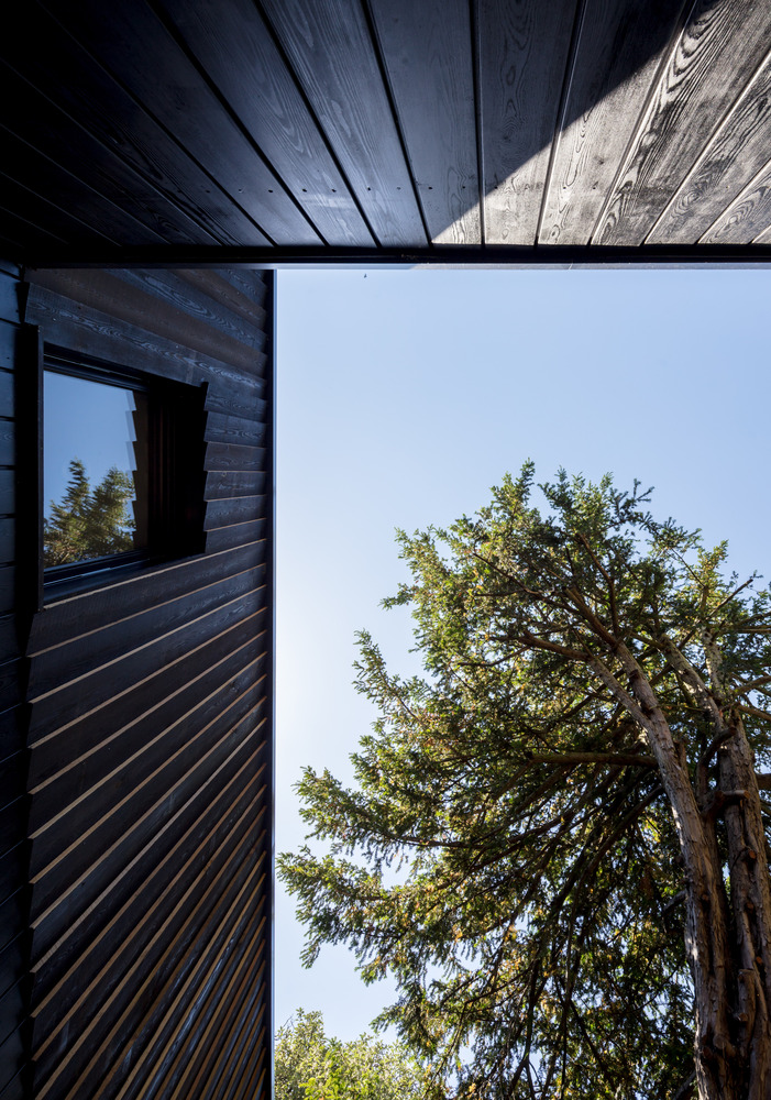 Gallery of Regent's Park Open Air Theatre / Reed Watts Architects - 16