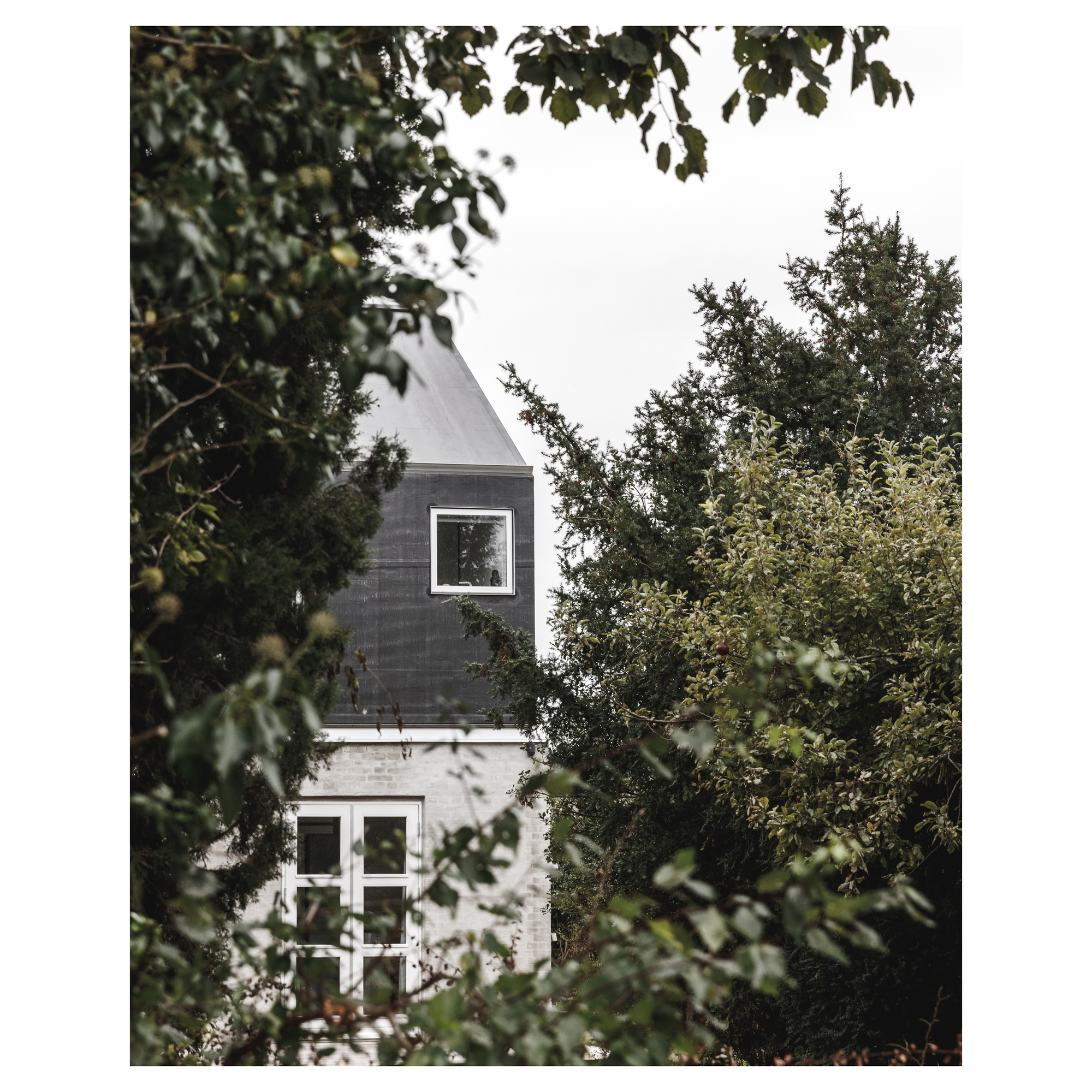 Gallery of Helmet House / Werkt Studio 14