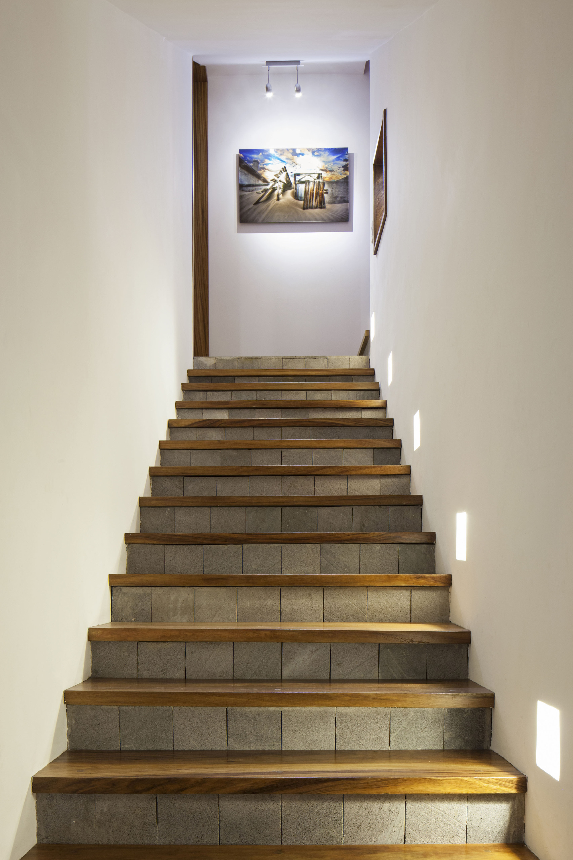 Pin de Oliver Chung en Escaleras | Casa del arbol, Arboles, Escaleras