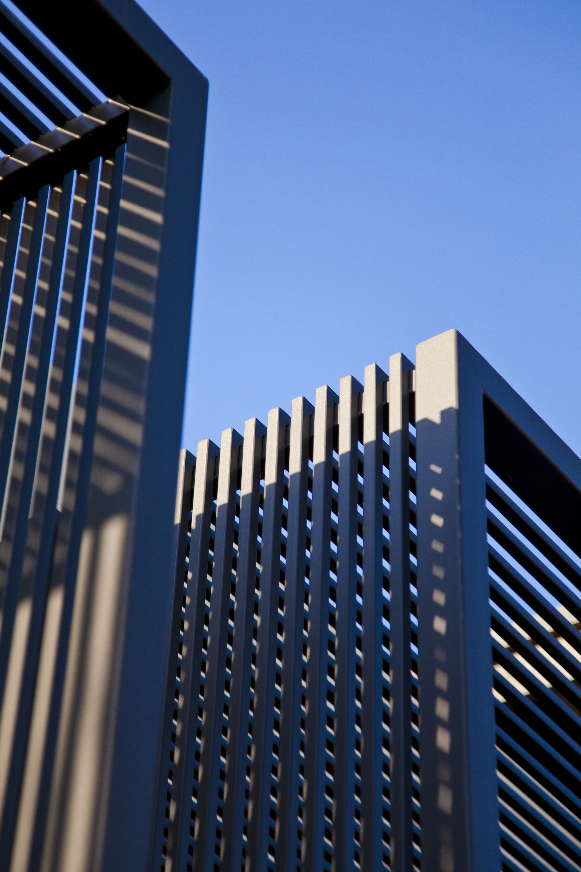 Gallery of Canopy House / Rob Paulus Architects 9