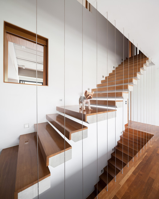 Casa Push / VYN Studio - Imagen 11 de 29