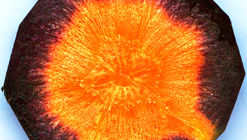Could Carrots Make Concrete Stronger and Greener?