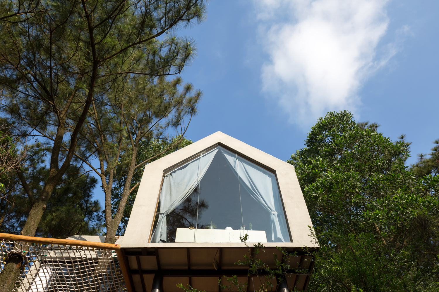 Casa da floresta 02 / D12 Architect - Imagem 5 de 36