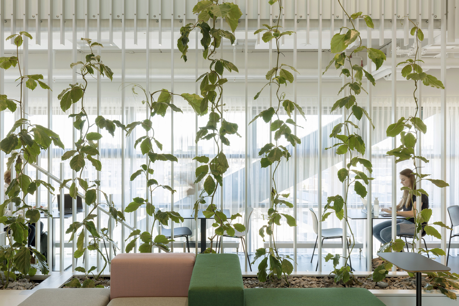 Gallery of Alkmaar City Office / Proof of the sum - 1