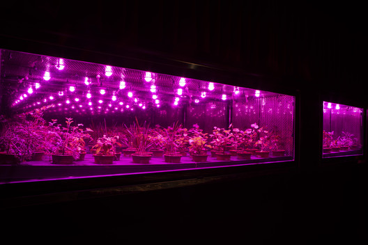 SubAstor / SuperLimão - Imagem 6 de 9