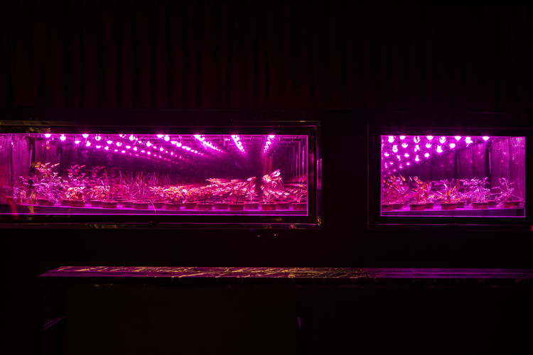 SubAstor / SuperLimão - Imagem 2 de 9