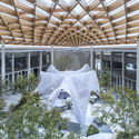 Venue B of Shanghai Westbund World Artificial Intelligence Conference / Archi-Union Architecture - Facade, Garden, Beam, Courtyard