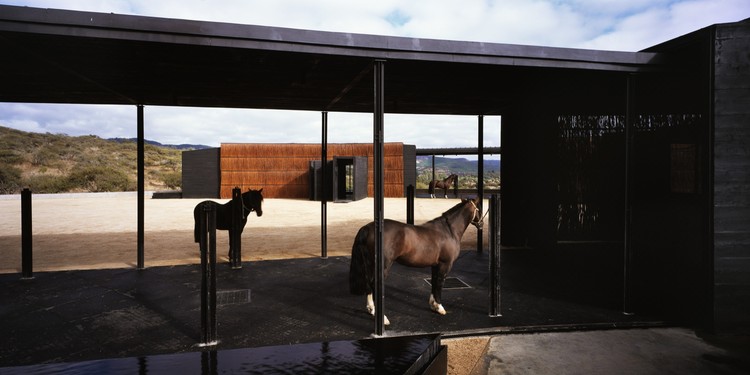 Casa para un criador de caballos / Diego Baraona - Ventanas