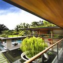 Casa Ficus / Guz Architects - Casas