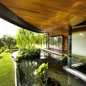 Casa Ficus / Guz Architects - Casas