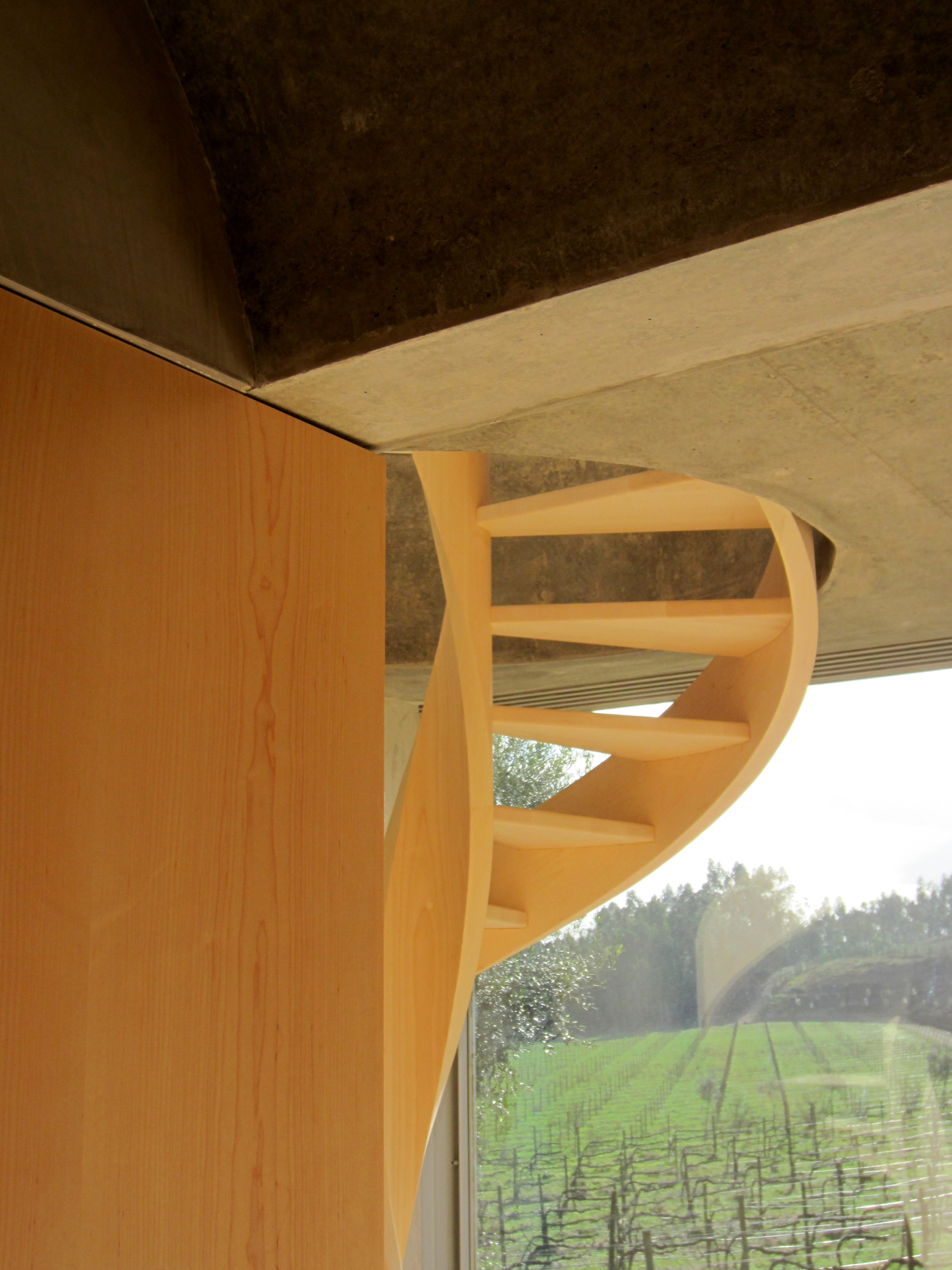 Gallery of House in Guimarães / Correia/Ragazzi Arquitectos - 24