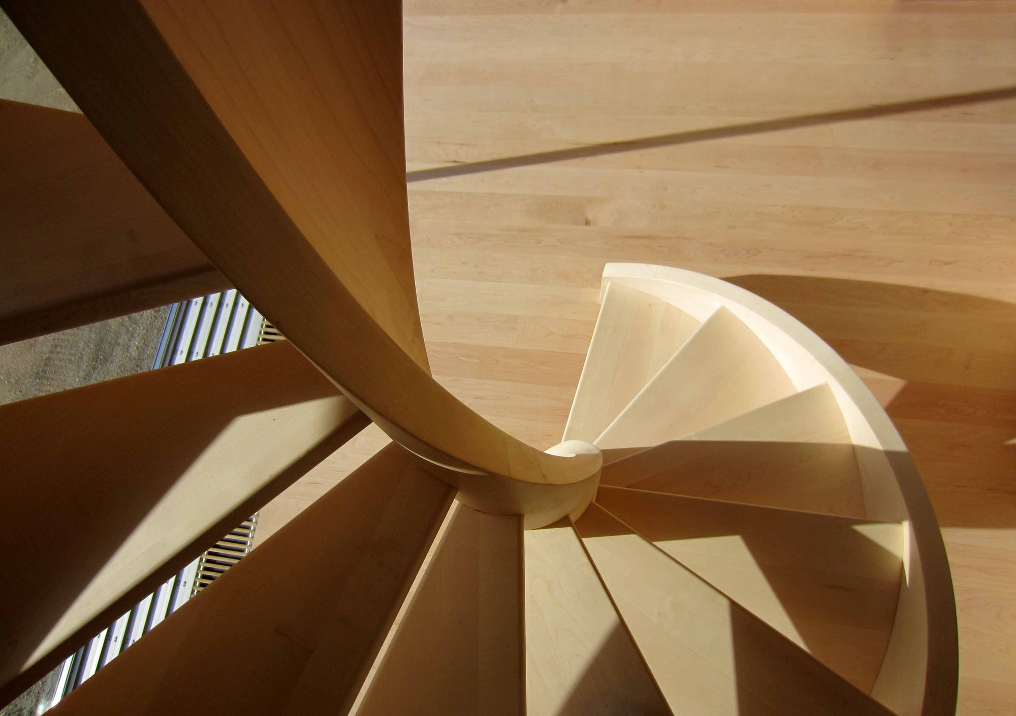 Gallery of House in Guimarães / Correia/Ragazzi Arquitectos - 7