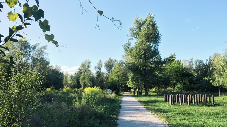 Parque urbano Rakova Jelša / Medprostor d.o.o. - Imagen 5 de 14